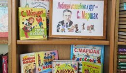 IMG-7682