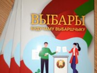 Выборы1