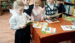 IMG-3026b508a78b8bacc73ff43d7c7168d0-V