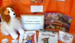 изображение_viber_2025-03-22_13-41-30-993