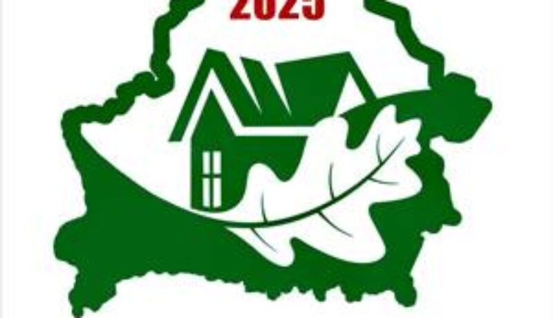 Логотип 2025 года