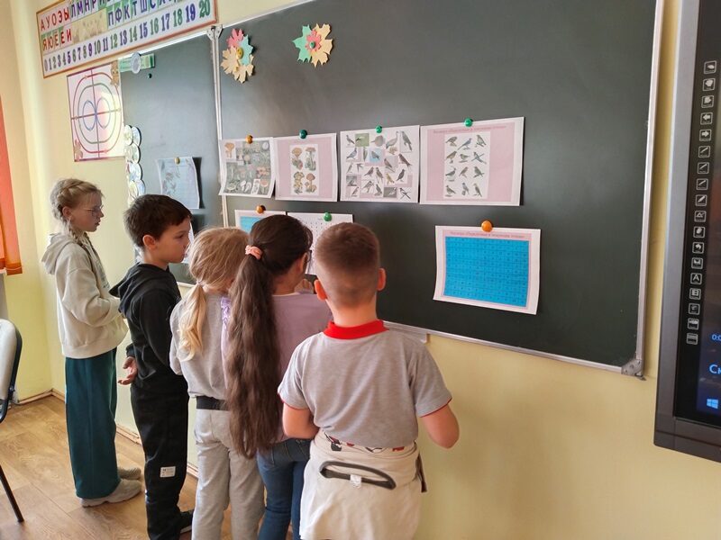 IMG_20251105_113353 IMG_20251105_113353