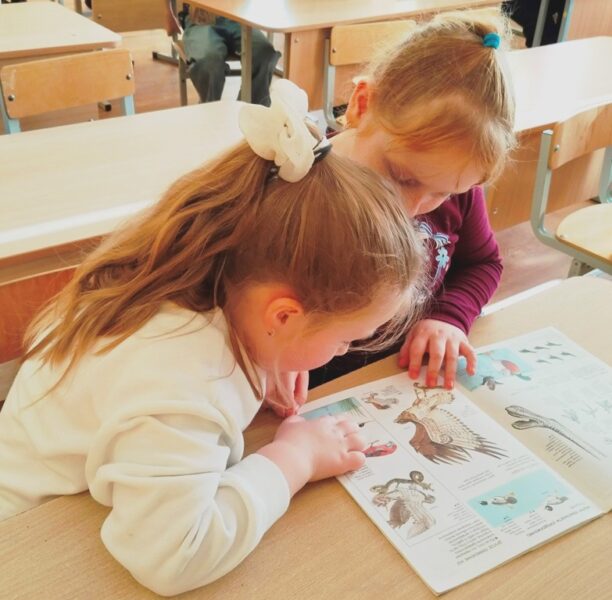 IMG_20251105_113412 IMG_20251105_113412