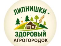 photo_2025-11-25_15-35-22