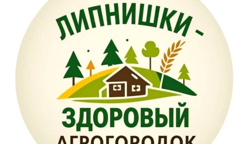 photo_2025-11-25_15-35-22