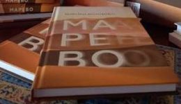 Быстримович, В. Е. Марево